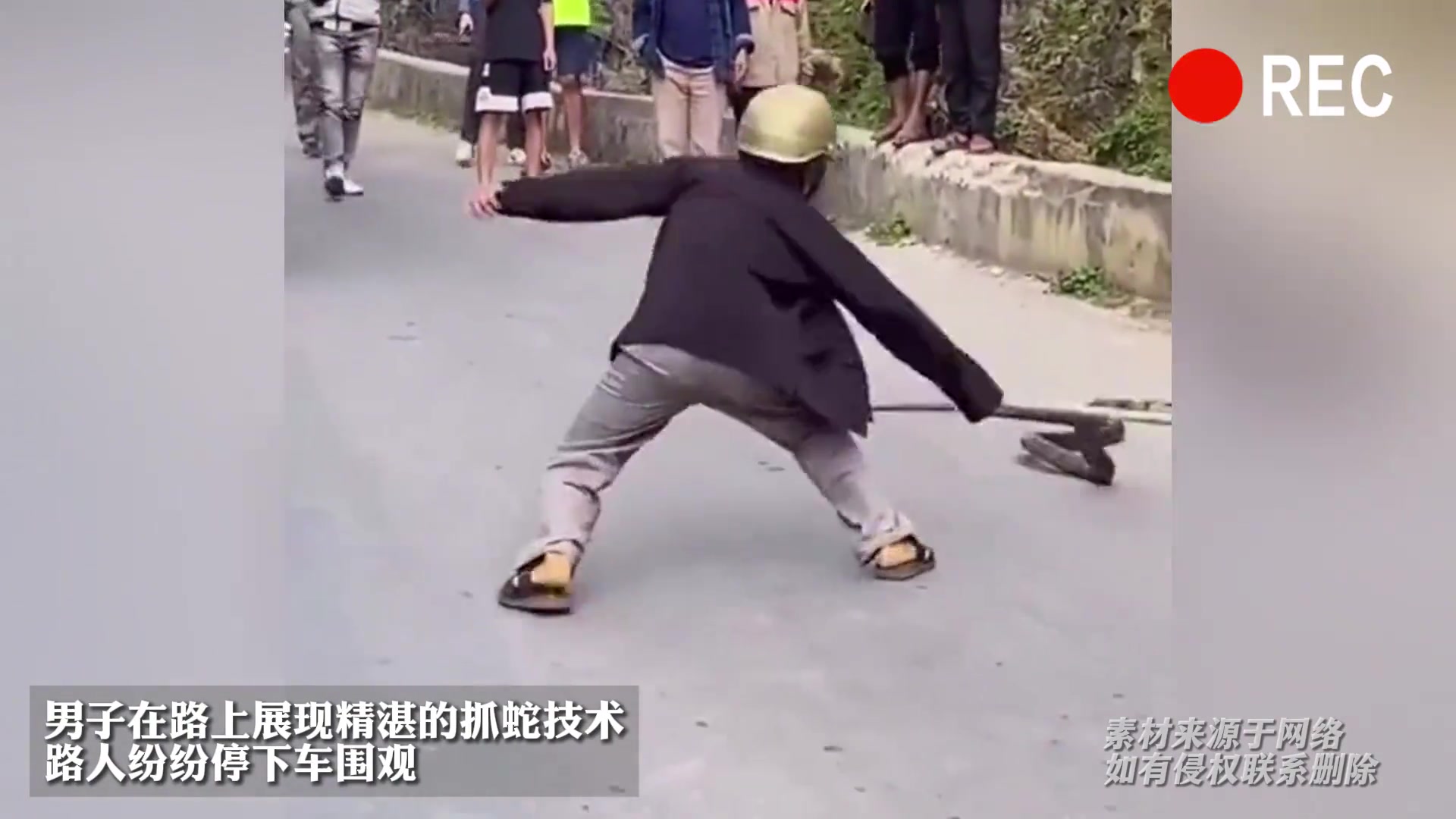 男子在路上展现精湛的抓蛇技术,路人纷纷停下车围观