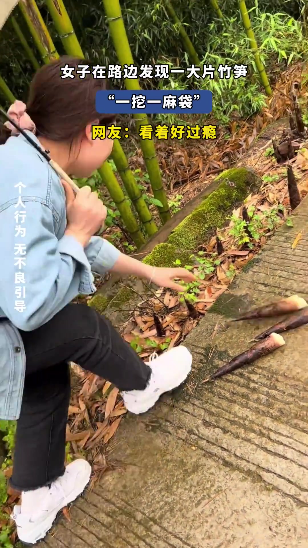 女子路边发现大片竹笋，开挖收获满满引网友称过瘾