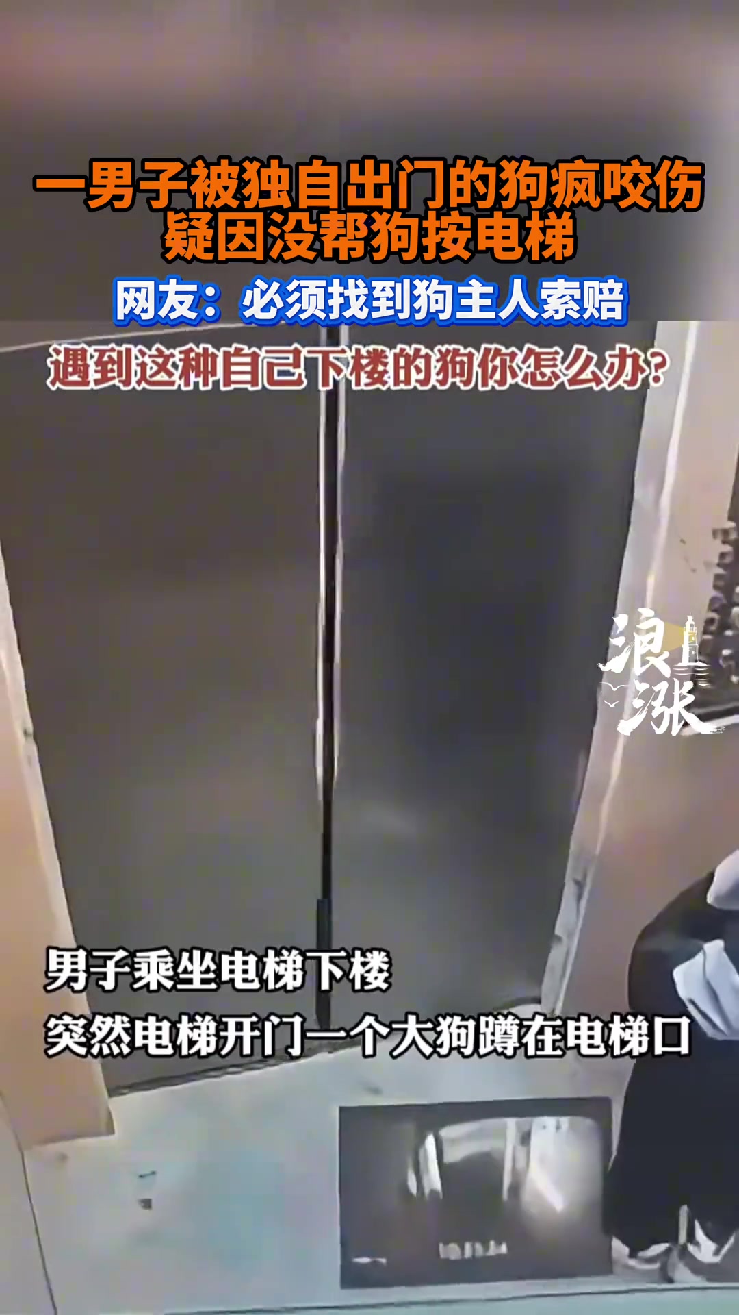 男子被独自出门的狗疯咬，疑因没帮狗按电梯