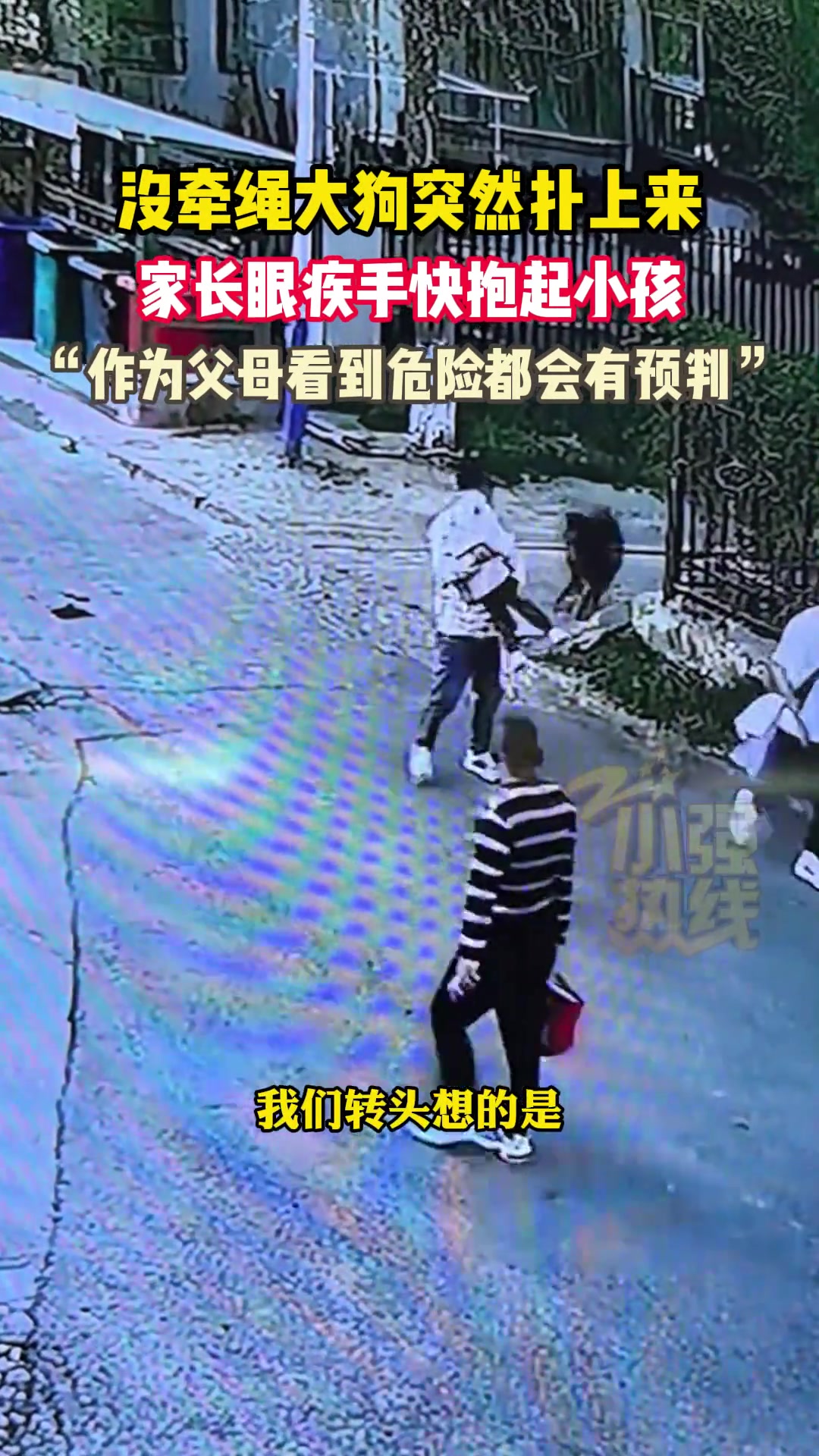 没牵绳大狗突然扑上来，家长眼疾手快抱起小孩