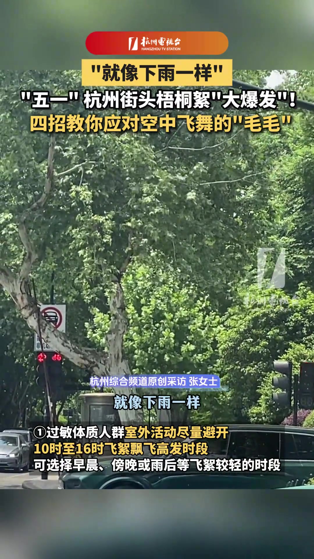 “就像下雨一样”五一杭州街头梧桐絮“大爆发”！