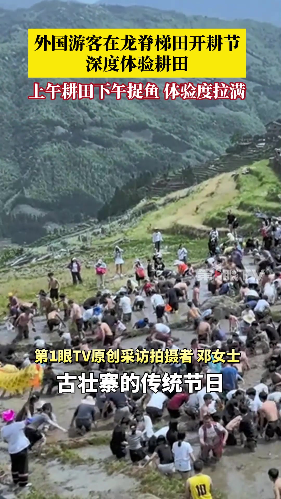 外国游客在龙脊梯田开耕节深度体验耕田，上午耕田下午捉鱼