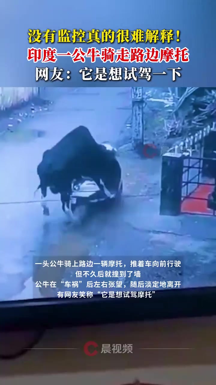 没有监控真的很难解释！印度一公牛骑走路边摩托车！