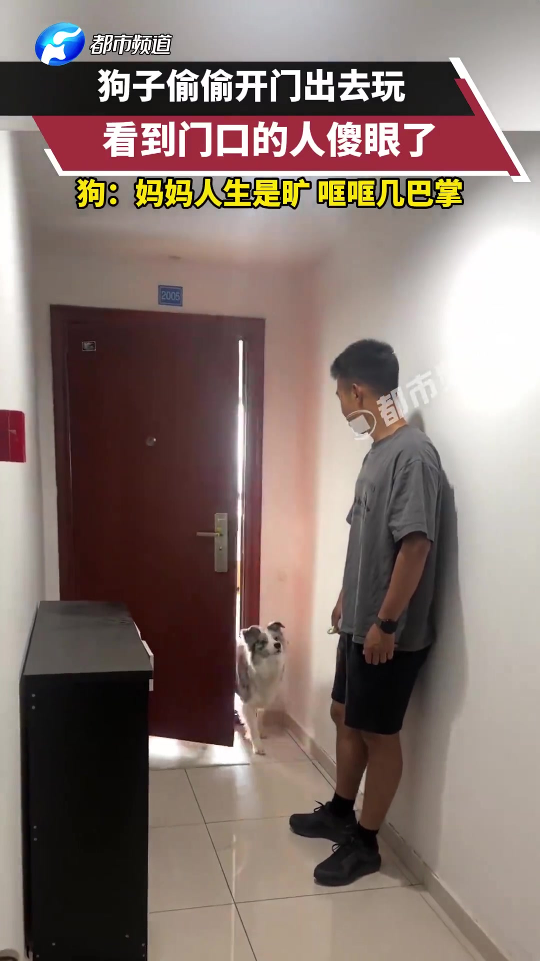 狗子偷偷开门出去玩，看到门口的人傻眼了