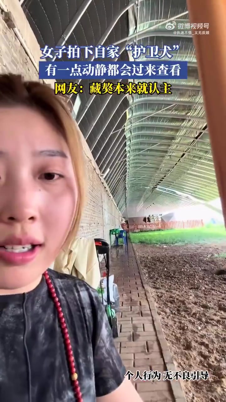 女子拍下自家“护卫犬”，有一点动静都会过来查看