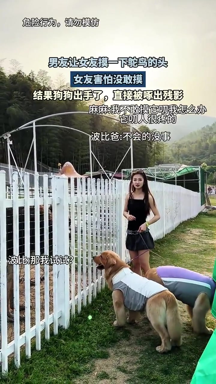 男友让女友摸一下鸵鸟的头，女友害怕没敢摸，结果狗狗出手了