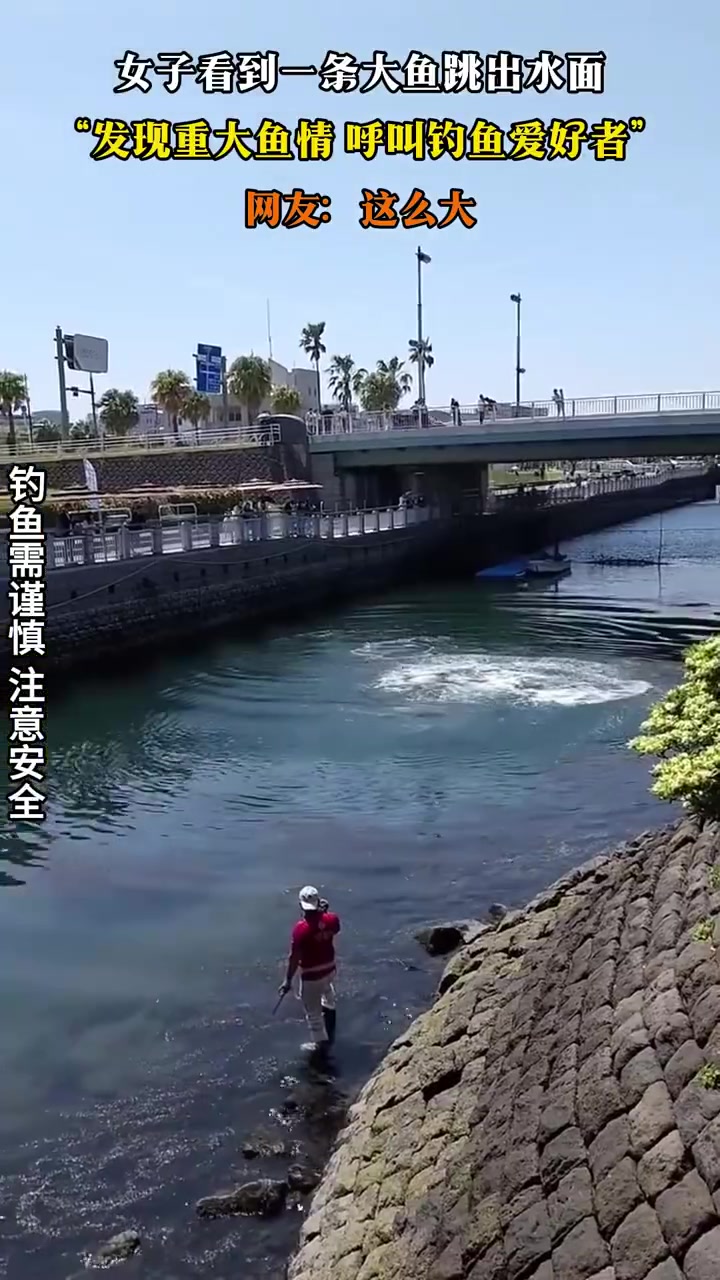 女子看到一条大鱼跳出水面