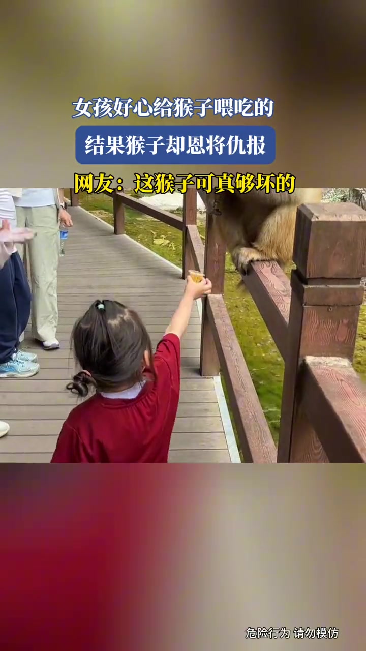 女孩好心给猴子喂吃的,结果猴子却恩将仇报