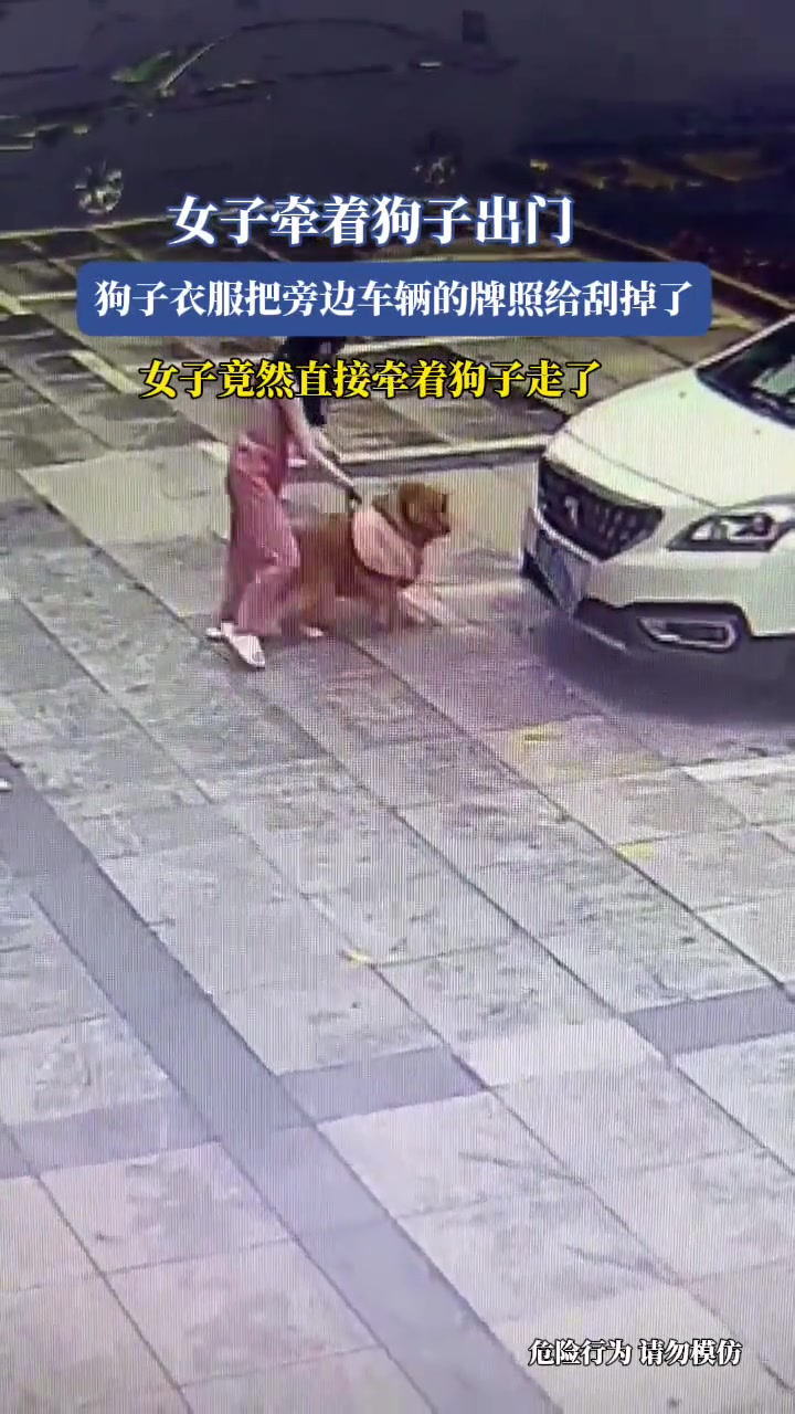 女子牵着狗子出门,狗子衣服把旁边车辆的牌照给刮掉了