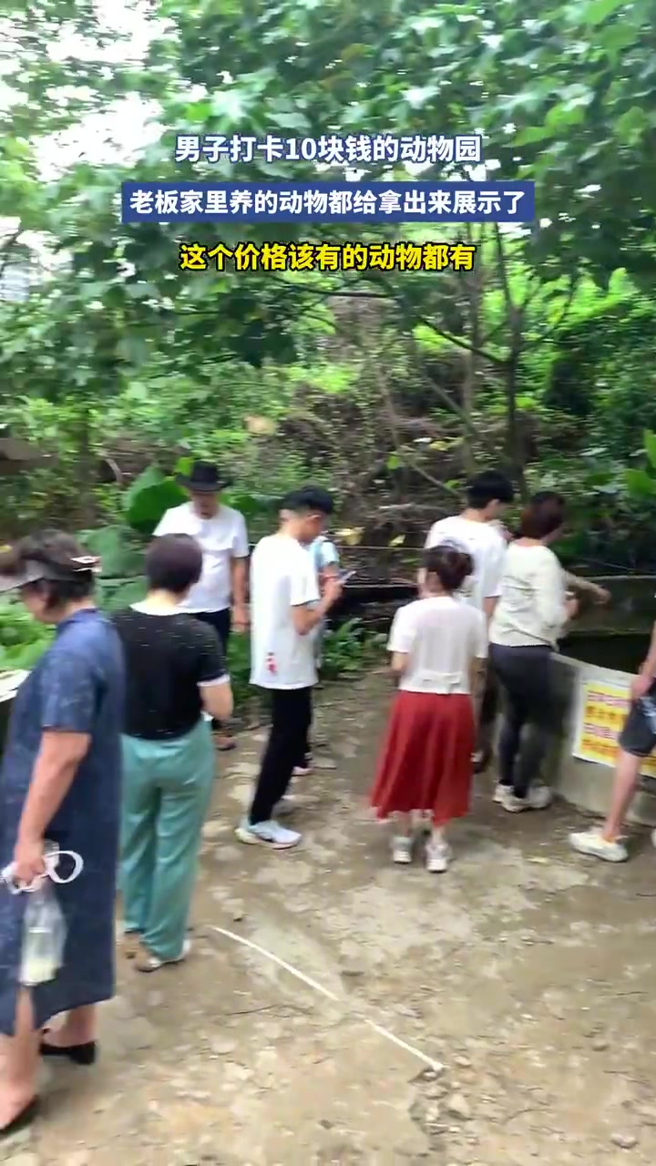 男子打卡10块钱的动物园