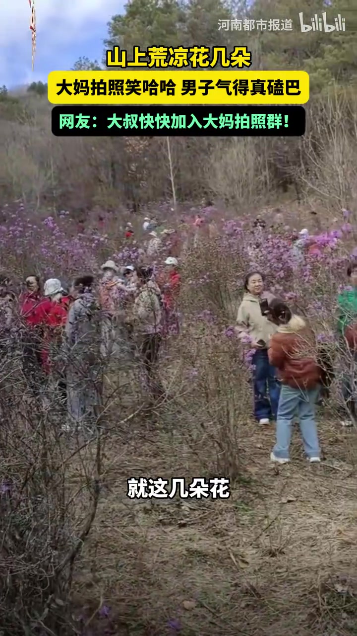 山上荒凉花几朵，大妈拍照笑哈哈男子气得真磕巴！