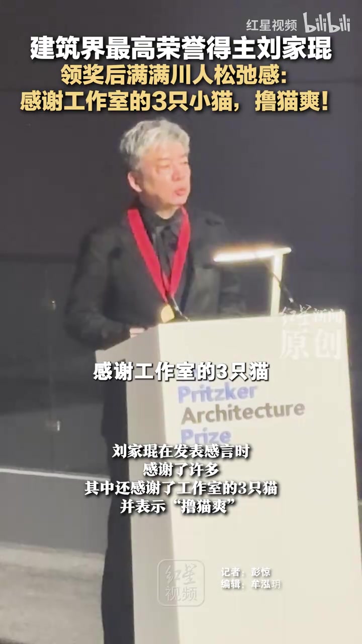 建筑界最高荣誉得主刘家琨：感谢工作室的3只小猫，撸猫爽！