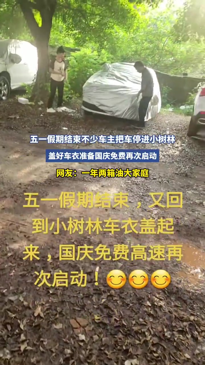 五一后车停小树林，网友：这是怕被贴条