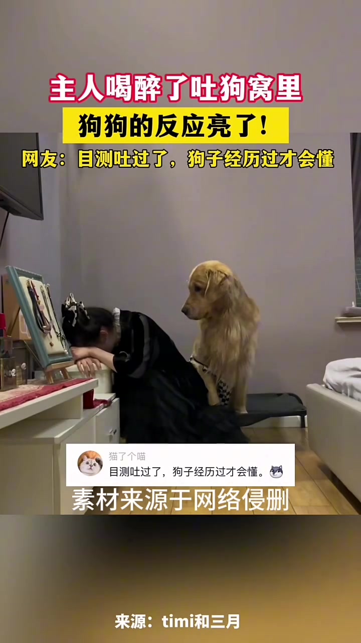 狗子吐槽主人：你是真的狗！