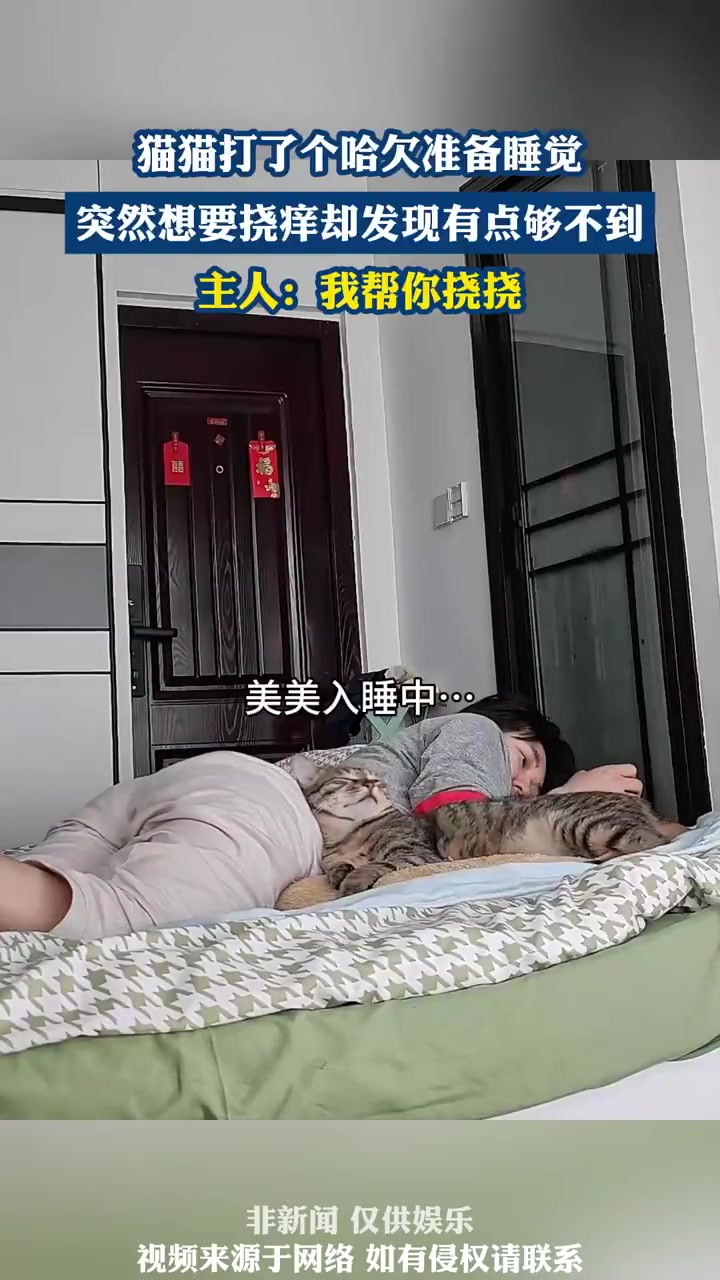猫猫挠痒够不着，萌态百出太可爱