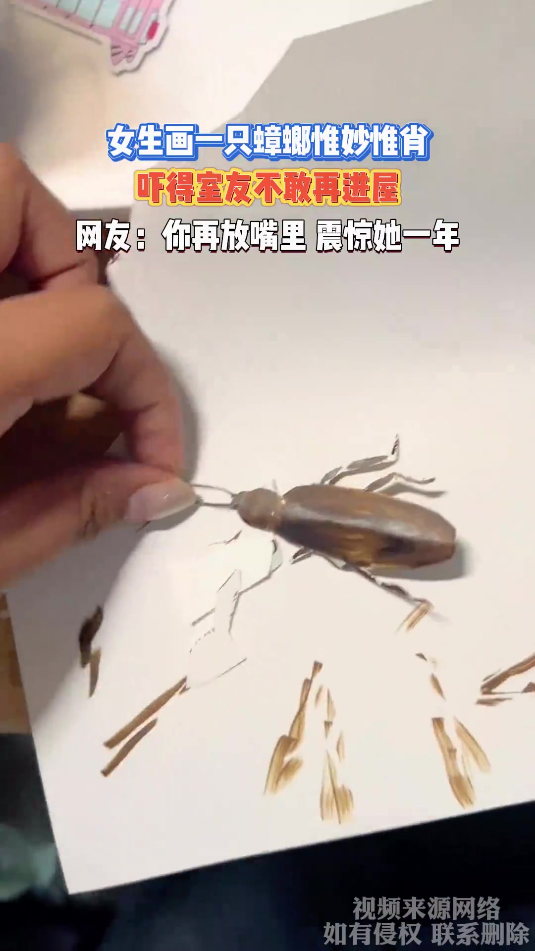 女生画蟑螂栩栩如生，室友见状吓得不敢进屋
