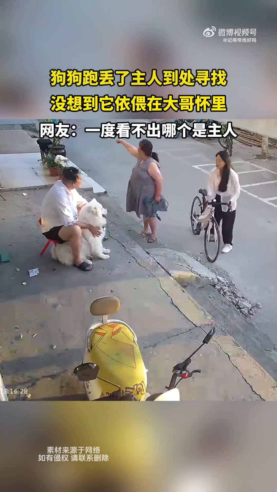 狗狗跑丢了主人到处寻找，没想到它依偎在大哥怀里