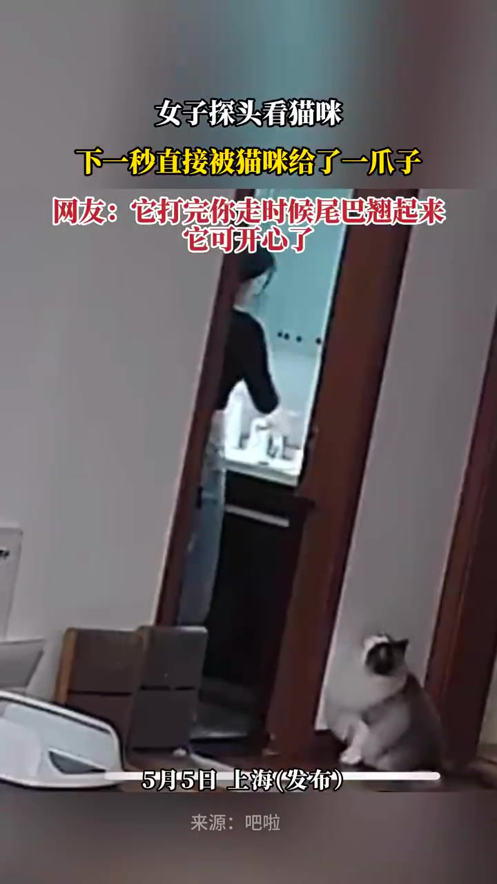 女子探头看猫，惨遭猫咪一爪