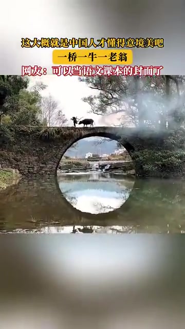 一桥一牛一老翁，尽显中式意境美