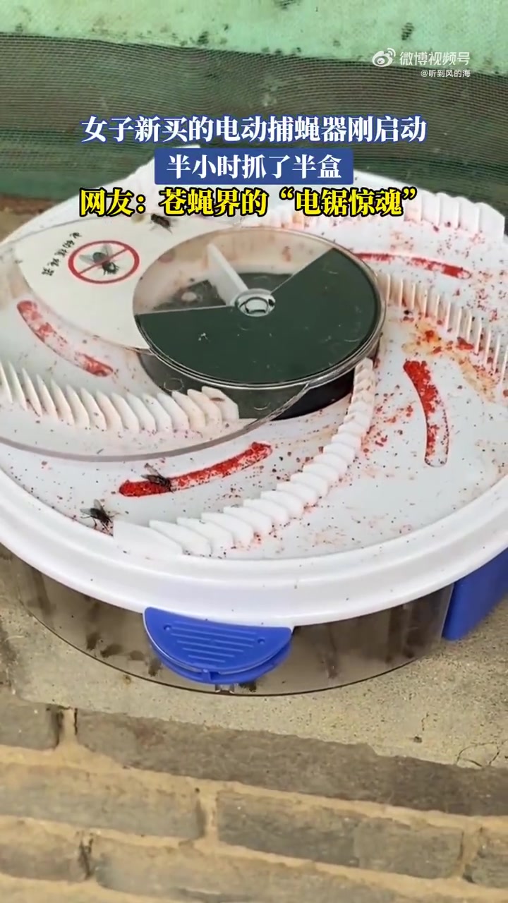 女子新买的电动捕蝇器刚启动，半小时抓了半盒！