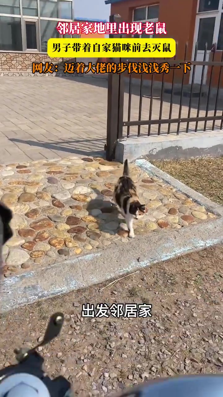 邻居家地里出现老鼠，男子带着自家猫咪前去灭鼠