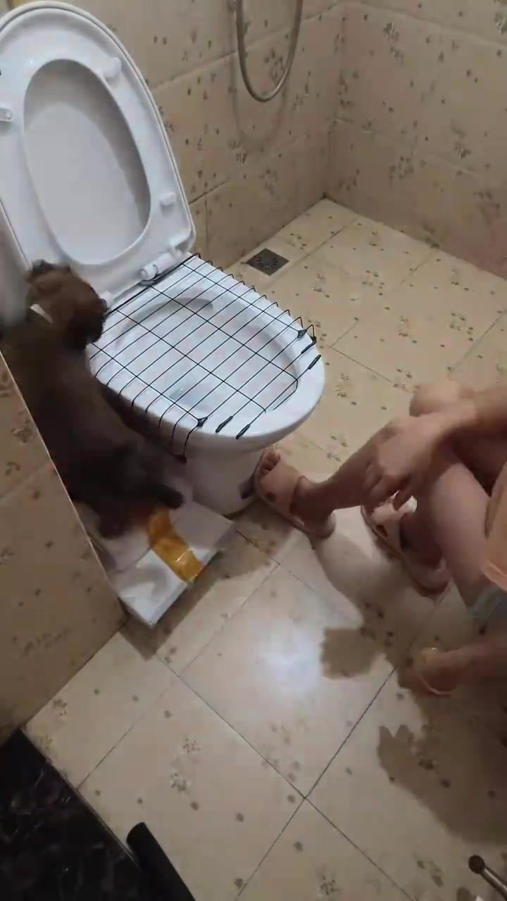 不像是会了，像是服了！