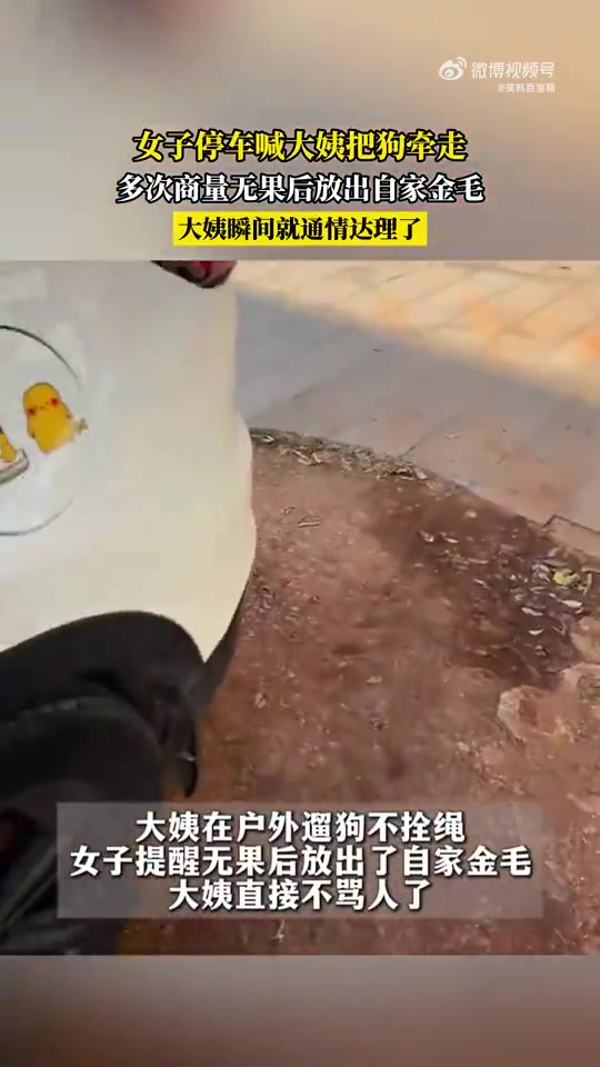 女子让大姨牵走狗遭拒，放出金毛大姨态度转变