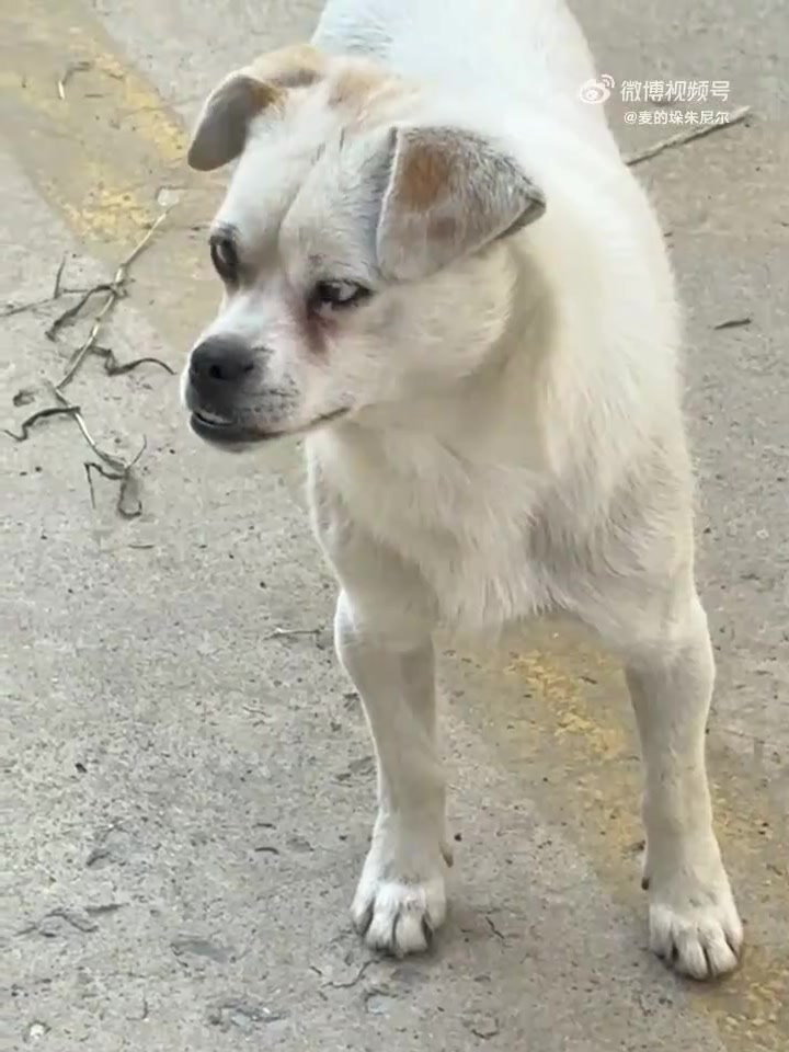 疑似贾队长投胎转世，不能说完全一致，只能说一模一样