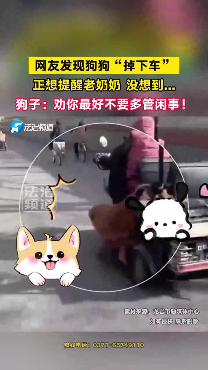 狗子：劝你最好不要多管闲事！