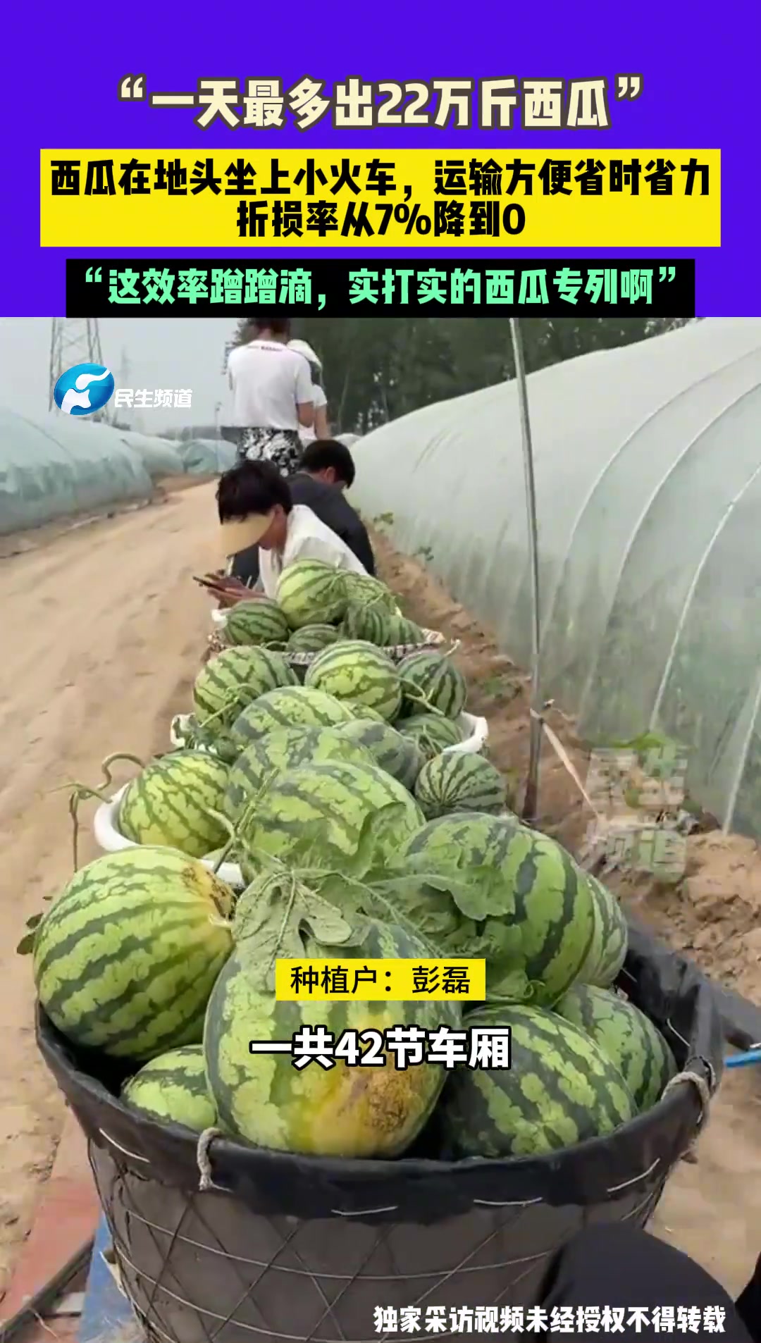 一天最多22万斤西瓜，西瓜在地头坐上小火车，运输方便省时省力