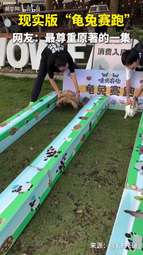 兔子：老祖宗的规矩不能破