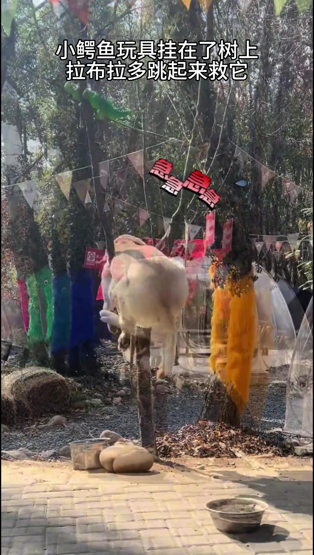 就挂这吧，省得乱跑