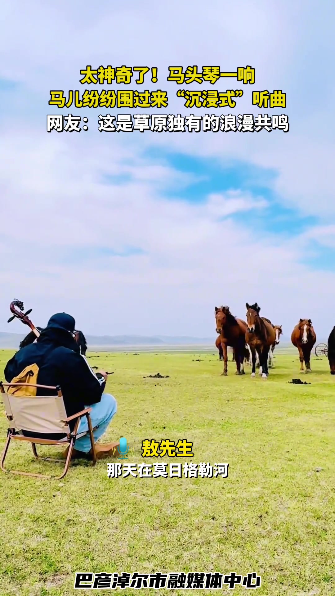 太神奇了！马头琴一响，马儿纷纷围过来“沉浸式”听曲
