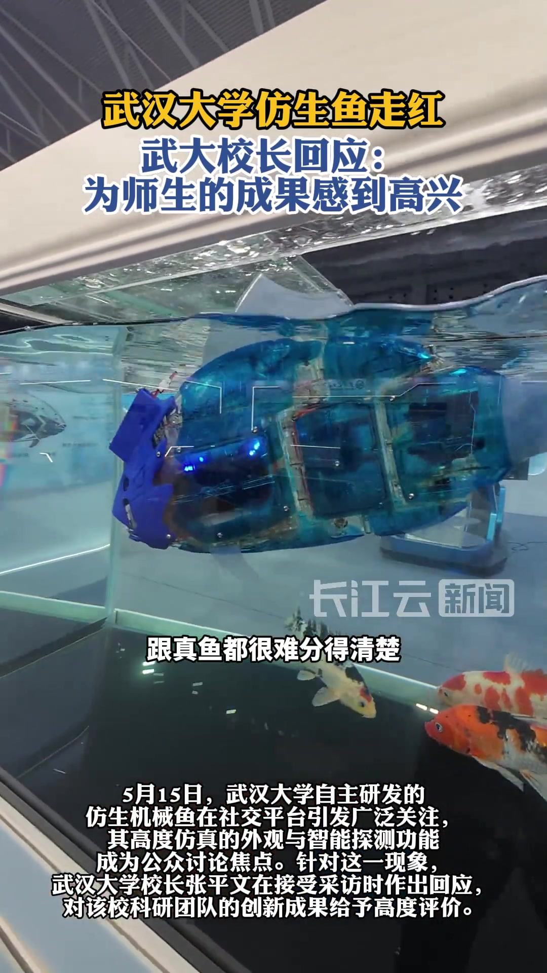 武大仿生鱼“游”红网络校长回应：为师生骄傲！