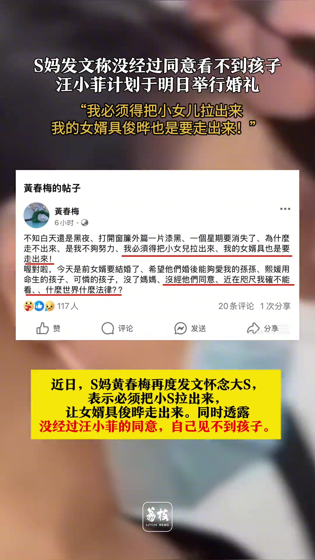 S妈发文称没经过同意看不到孩子