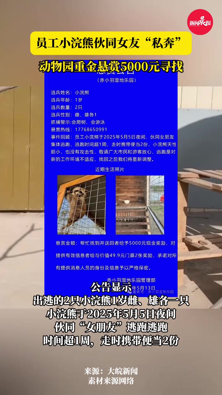 江苏一乐园小浣熊出逃，当地：悬赏5000元紧急寻找