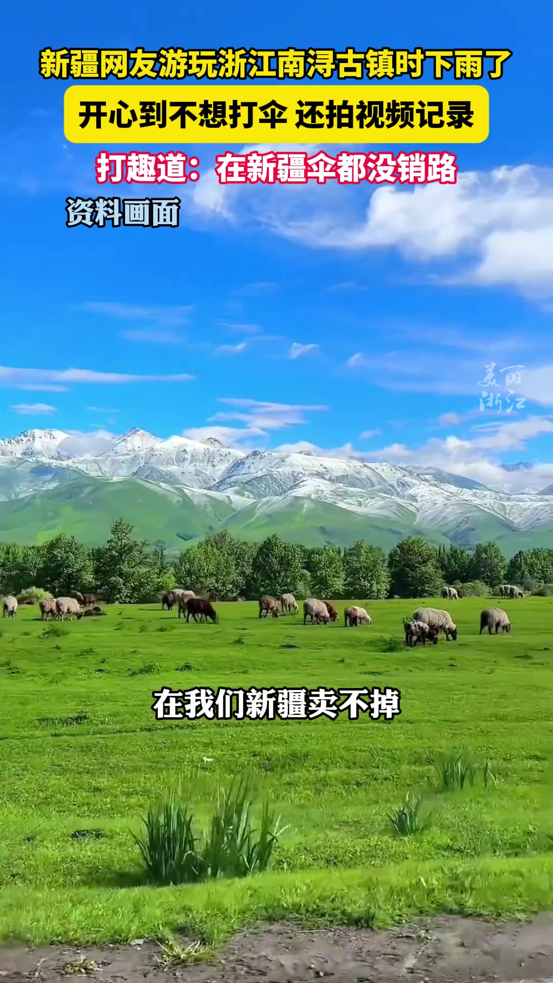 新疆网友游南浔古镇遇下雨，不愿打伞开心到发视频