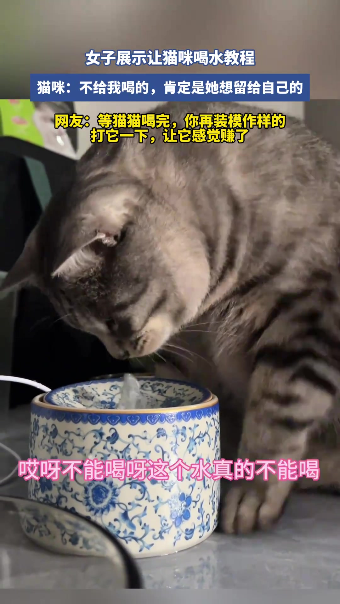 女子展示让猫咪喝水教程，太搞笑了！