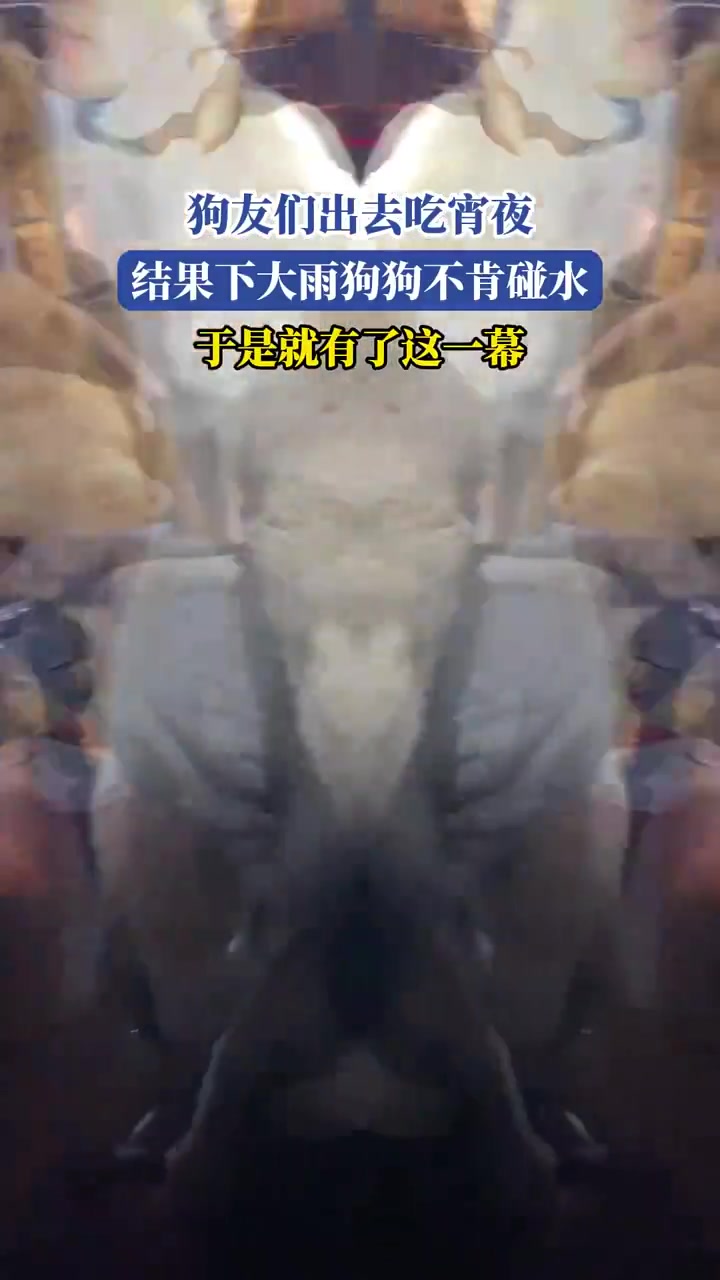 雨夜吃宵夜遇狗狗拒水，主人“花式”宠狗