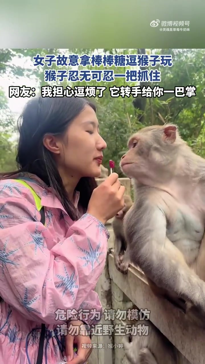 女子逗猴遭“反抢”，棒棒糖被夺引笑