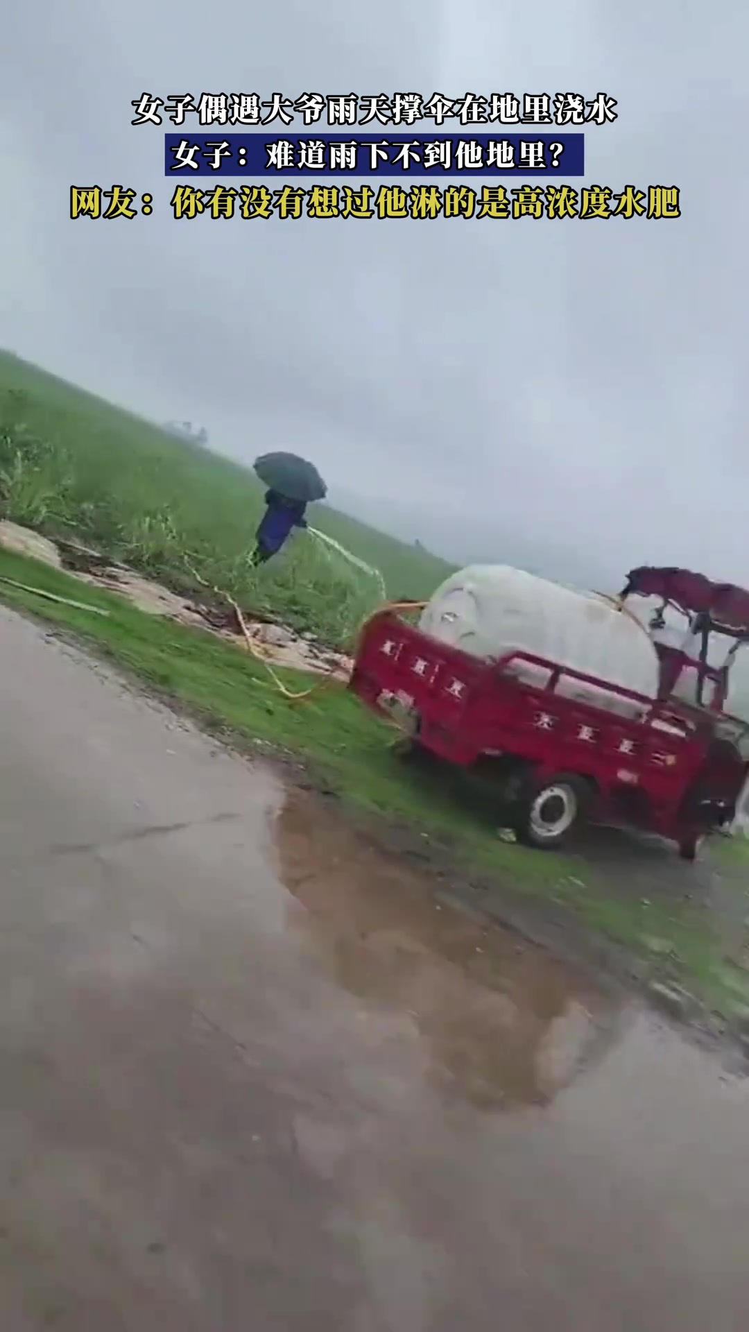 女子偶遇大爷雨天撑伞在地里浇水，女子：难道雨下不到他地里