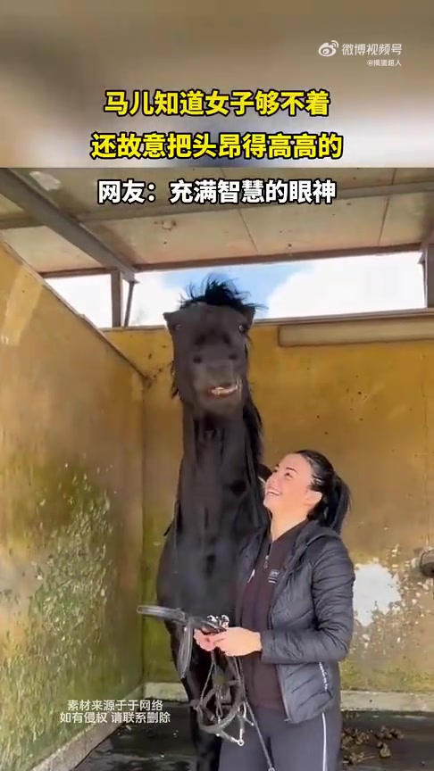 马儿明知女子够不着，仍故意高高昂头