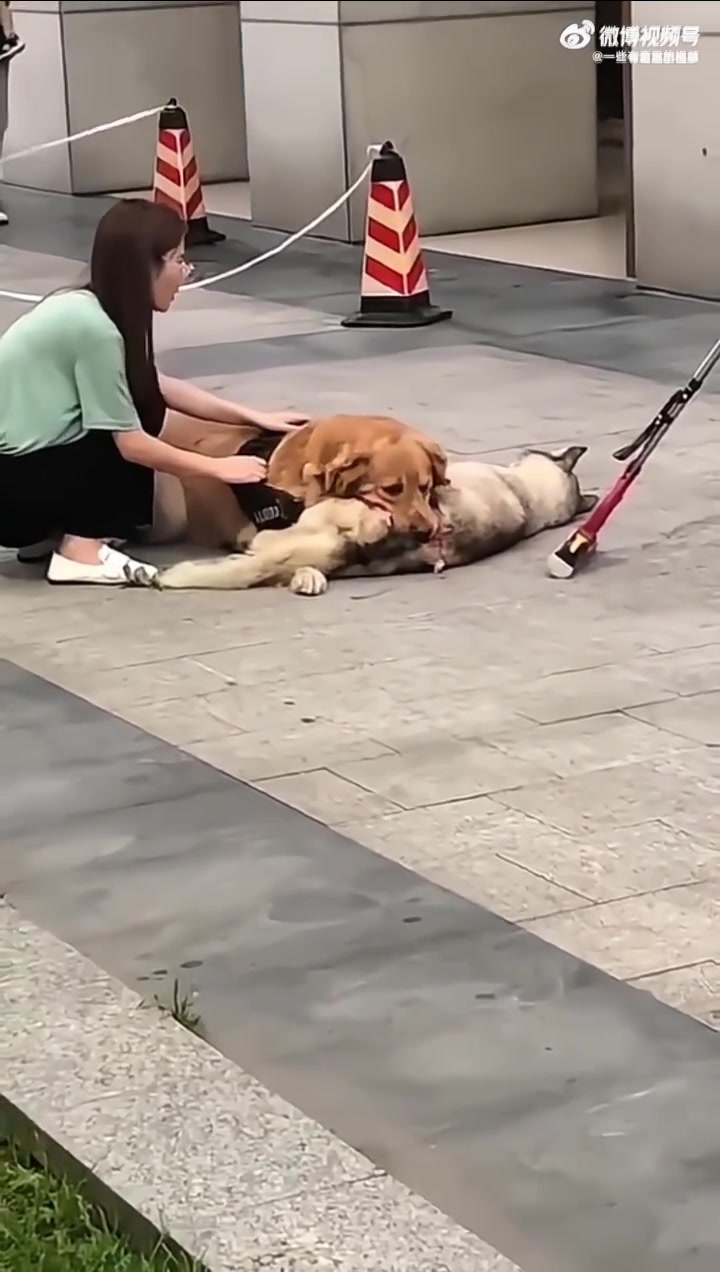 家中突发状况，女主人孤立无援显无助