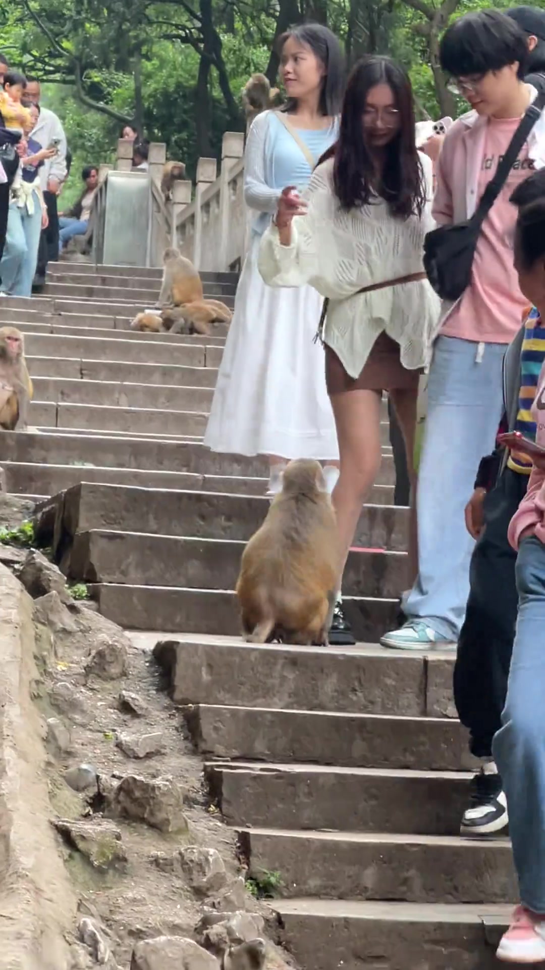 猴子都要把女生的腿抓破了！！