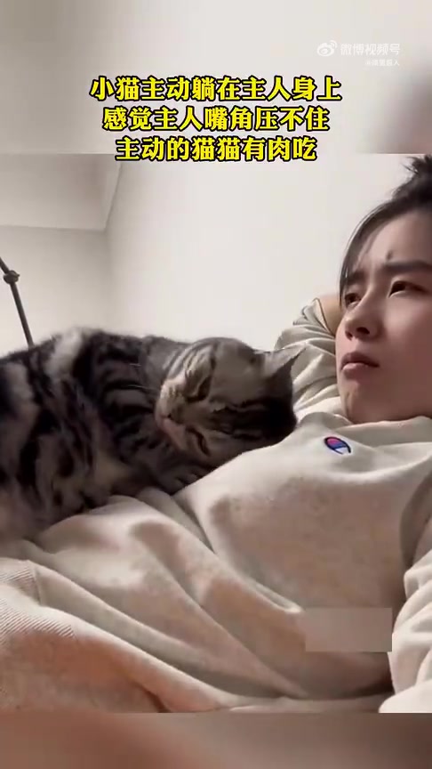 小猫主动躺主人身上，主人嘴角笑意藏不住