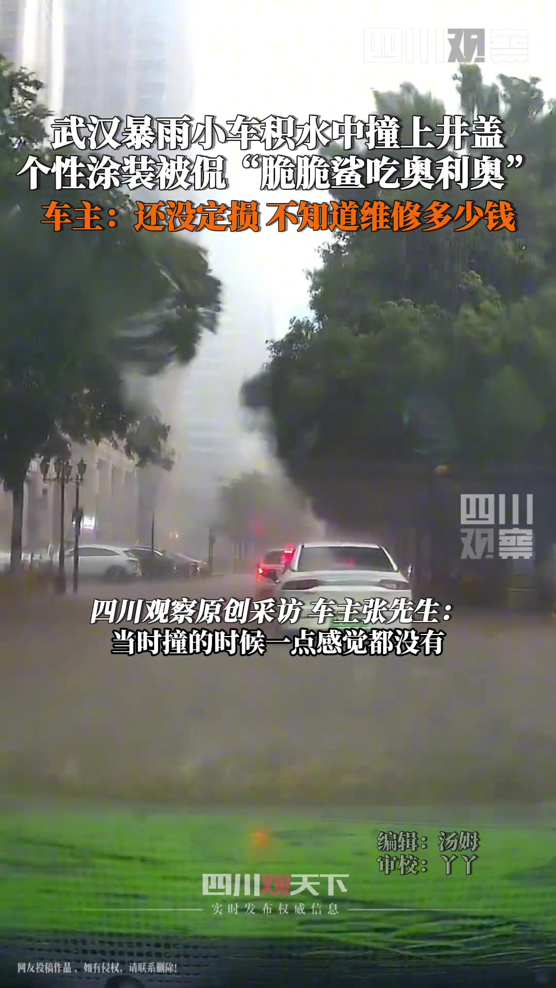 小车撞井盖秒变脆脆鲨啃奥利奥，行车记录仪拍下全过程