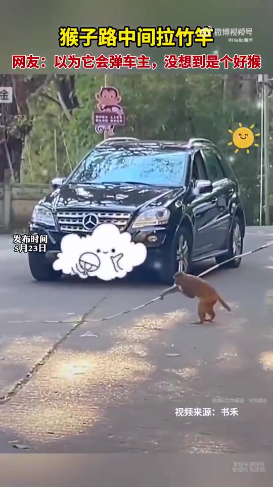 猴子路中间拉竹竿，网友：以为它会弹车主，没想到是个好猴