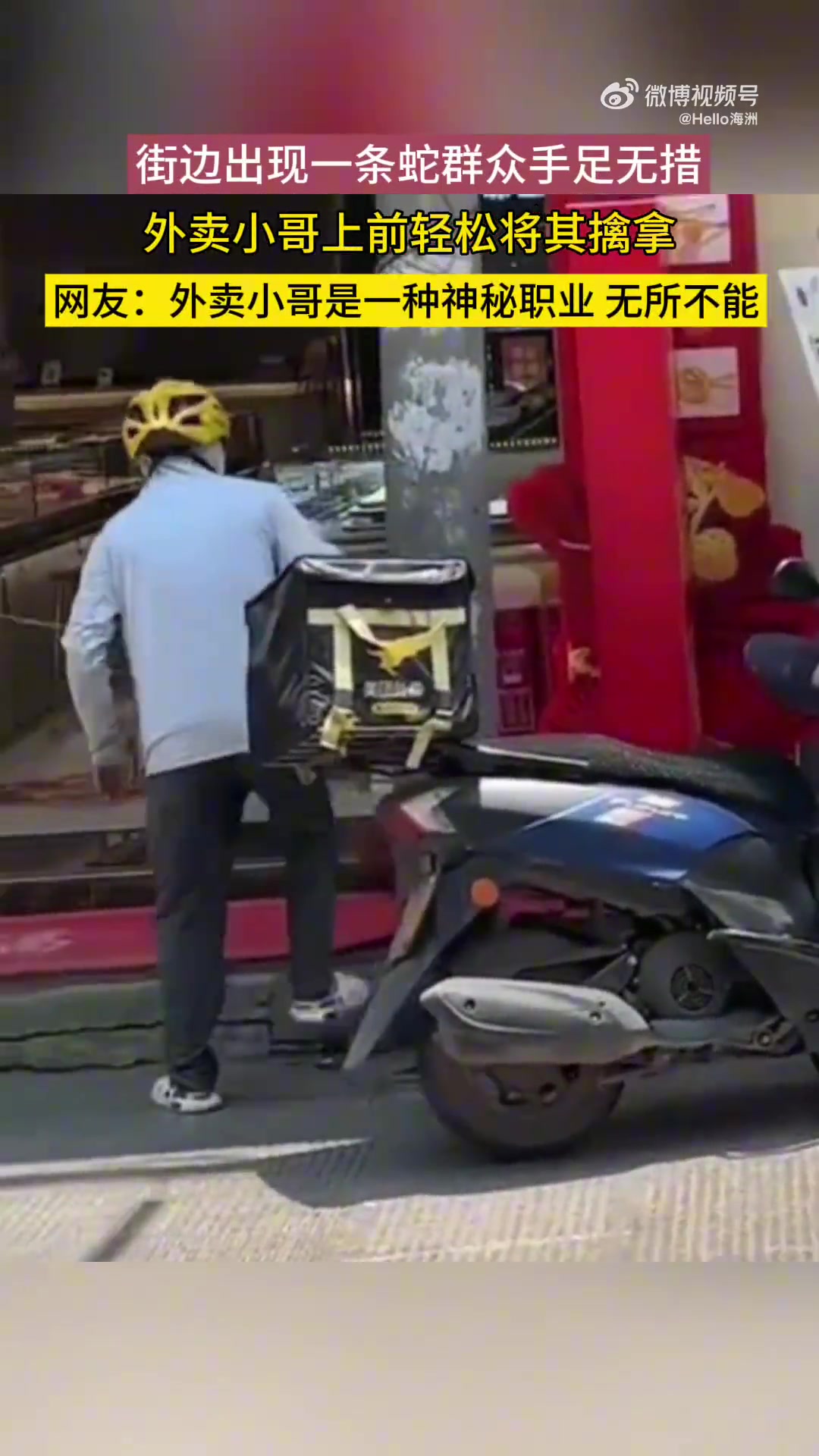 街边出现一条蛇群众手足无措，外卖小哥上前轻松将其擒拿