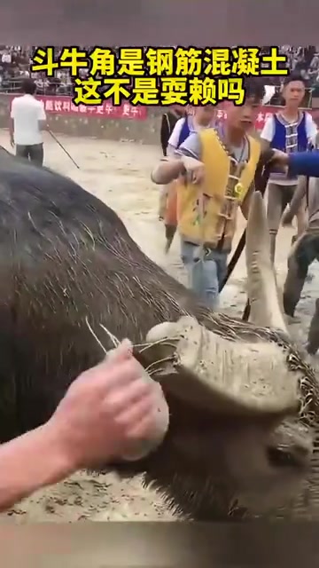 钢筋混凝土都断，这得多大力啊