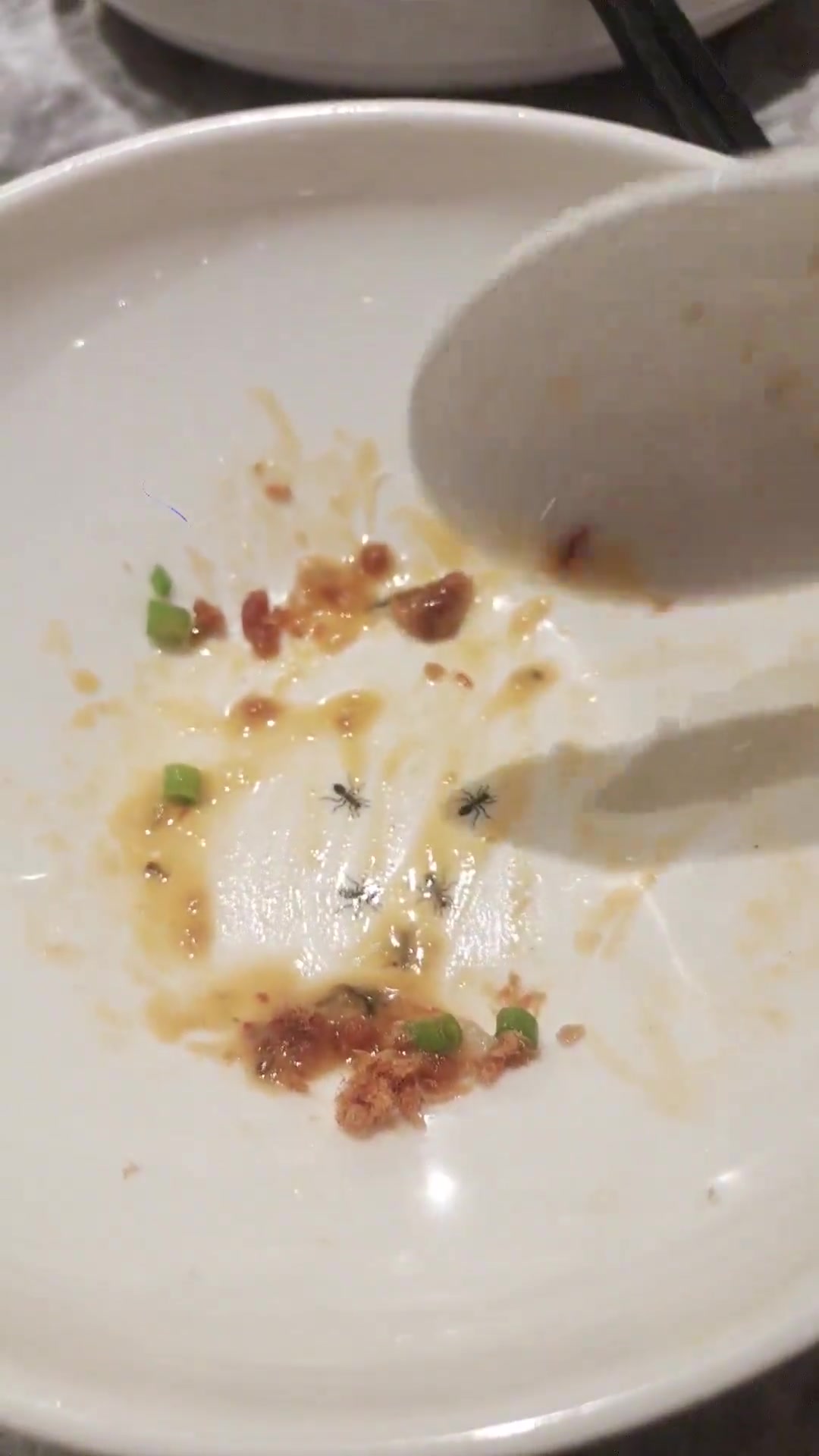 谁家盘子里印这种印花啊，还好是印上去的
